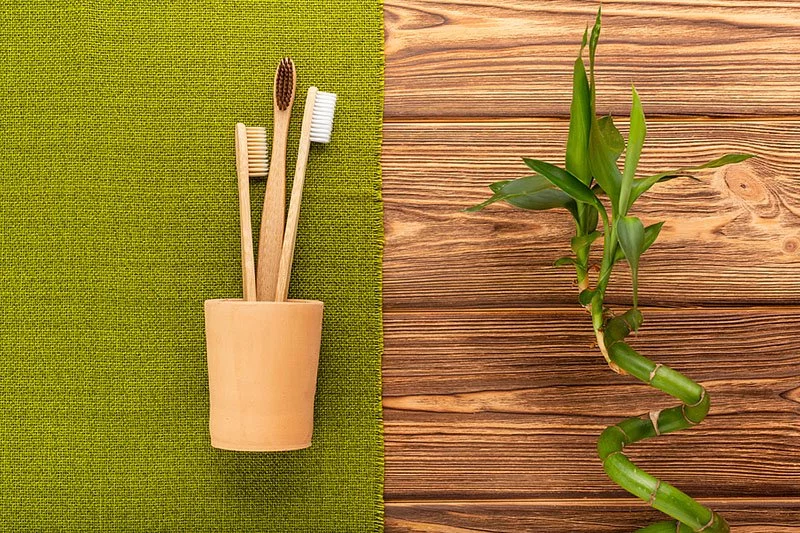 Eco-friendly biodegradable bamboo toothbrushes